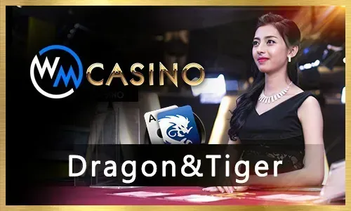 Dragon Tiger Card Game